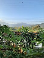 Baan Berm Family Inn