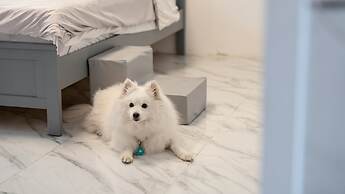 Gyeongju Purspet Dog Pension