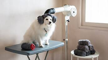 Gyeongju Purspet Dog Pension