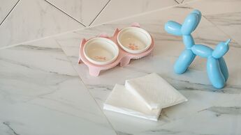 Gyeongju Purspet Dog Pension