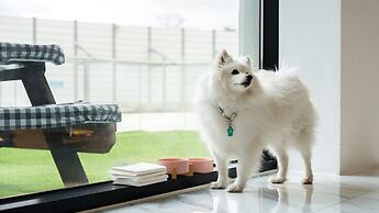 Gyeongju Purspet Dog Pension