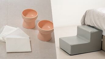 Gyeongju Purspet Dog Pension