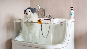 Gyeongju Purspet Dog Pension