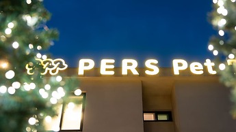 Gyeongju Purspet Dog Pension