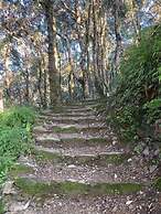 Woodside Retreat Pangot