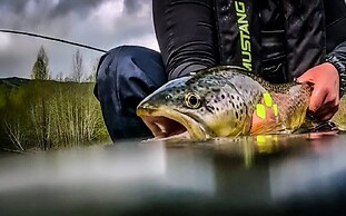 Riverside by Cowichan Lake Cottages