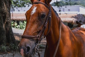 Anzalik Hotel Boutique