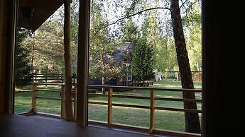Metai Miške&a Year in the Forest