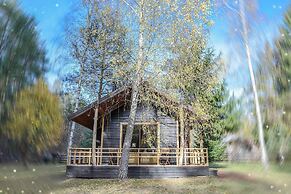 Metai Miške&a Year in the Forest
