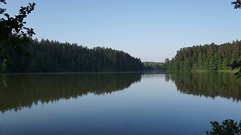 Metai Miške&a Year in the Forest