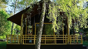 Metai Miške&a Year in the Forest