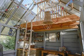 Metai Miške&a Year in the Forest