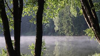 Metai Miške&a Year in the Forest