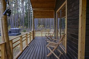 Metai Miške&a Year in the Forest