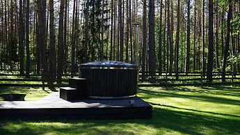 Metai Miške&a Year in the Forest