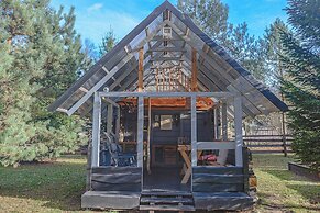 Metai Miške&a Year in the Forest