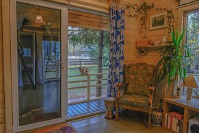 Metai Miške&a Year in the Forest