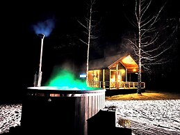 Metai Miške&a Year in the Forest