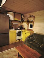 Metai Miške&a Year in the Forest