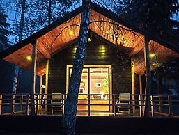 Metai Miške&a Year in the Forest