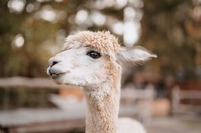 Gut Leben Landresort