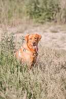 Gut Leben Landresort