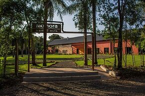 MOMORA DISTRITO SELVA