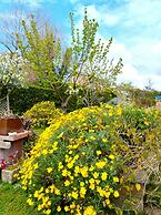 La Valle Dei Casali B&B