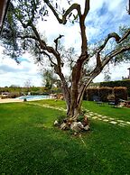 La Valle Dei Casali B&B