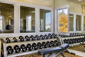 New Cozy 1BR Apt With Gym Sauna Heated Pool Access