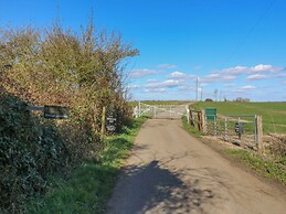 The Hide