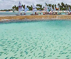 Moderno Agradável Flat P Galinhas BP402