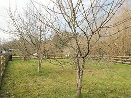 Bell Tent 4