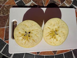 Apple farm glamping villa HARASAWA