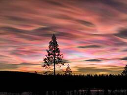 Lapland Pure Nature and More!