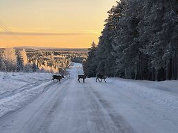 Lapland Pure Nature and More!