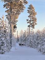 Lapland Pure Nature and More!