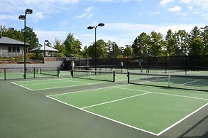 Serenity Now: Big Canoe Mountain Home!