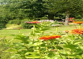Hillside Home in Marliana