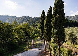 Hillside Home in Marliana