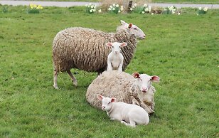 Frisian Hideaway With Style