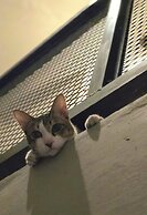 89 Bed & Studio hostel