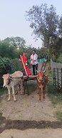 Shiva kashi Home stay