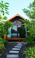 Lush Inn Phuket