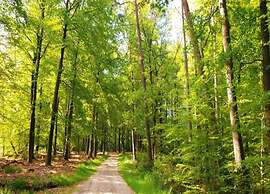 Romantic Loft w/ Garden Terrace