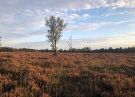 Romantic Loft w/ Garden Terrace