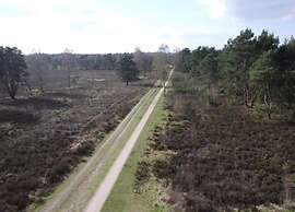 Romantic Loft w/ Garden Terrace