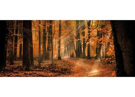 Romantic Loft w/ Garden Terrace