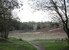 Romantic Loft w/ Garden Terrace