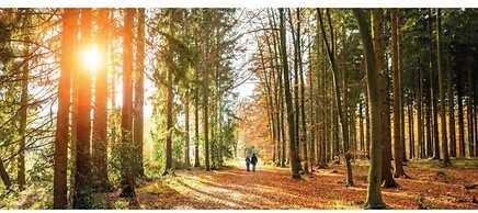 Romantic Loft w/ Garden Terrace